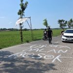 Usai Viral Ditanami Pisang, Jalan Randublatung-Cepu Dapat Kucuran Rp5,2 Miliar